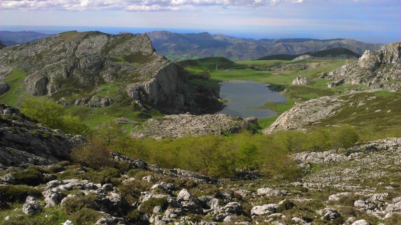 Hotel Fitu Колунга Экстерьер фото